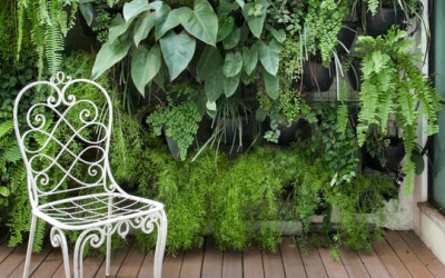 Valorizando Espaços com Jardim Vertical