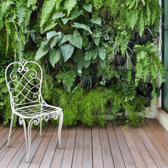 Valorizando Espaços com Jardim Vertical