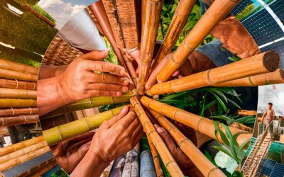 Como adotar Práticas Ecológicas em Construções